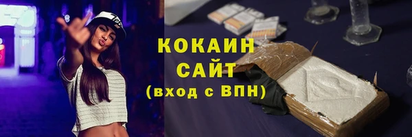 крисы Елабуга