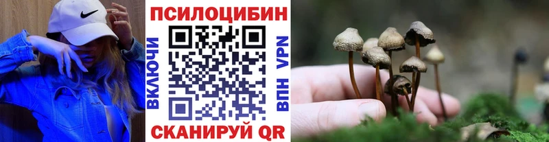 Галлюциногенные грибы мицелий  где найти   Ветлуга 