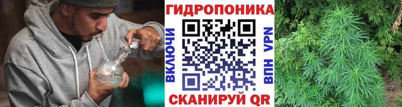 Бошки марихуана ГИДРОПОН  Ветлуга 